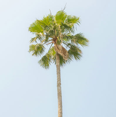 品牌成长与市场连接的协同之道​