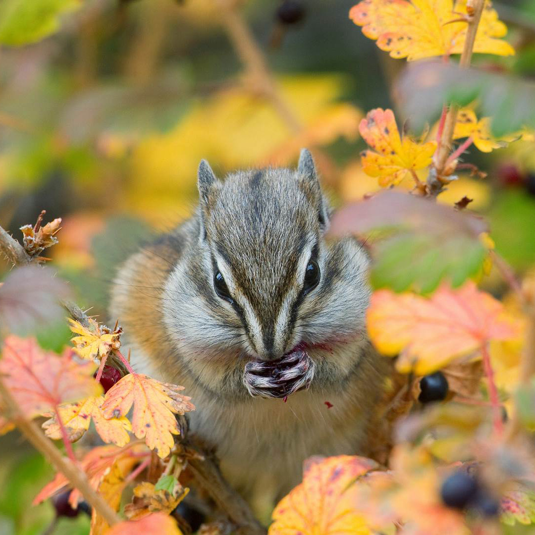 智能技术助力移动流量价值创新探索​